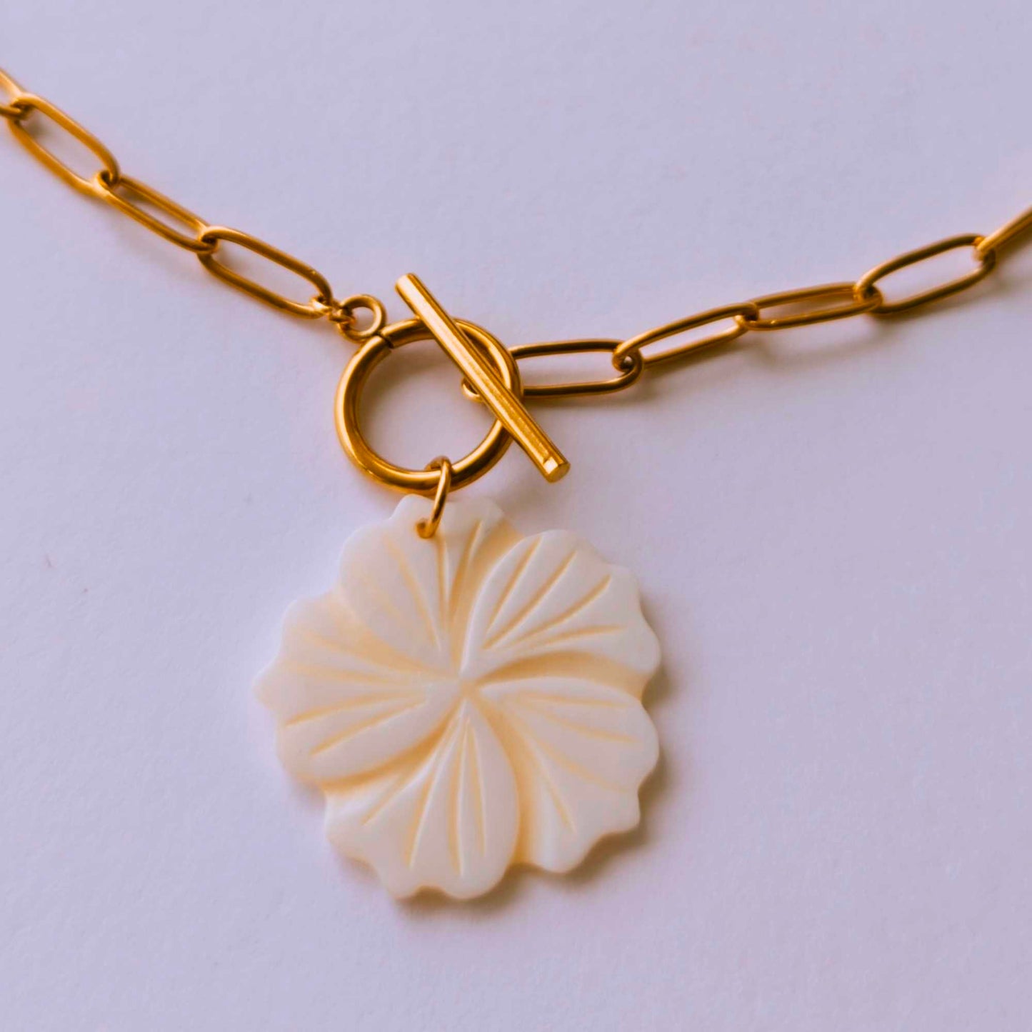 Collar Noe