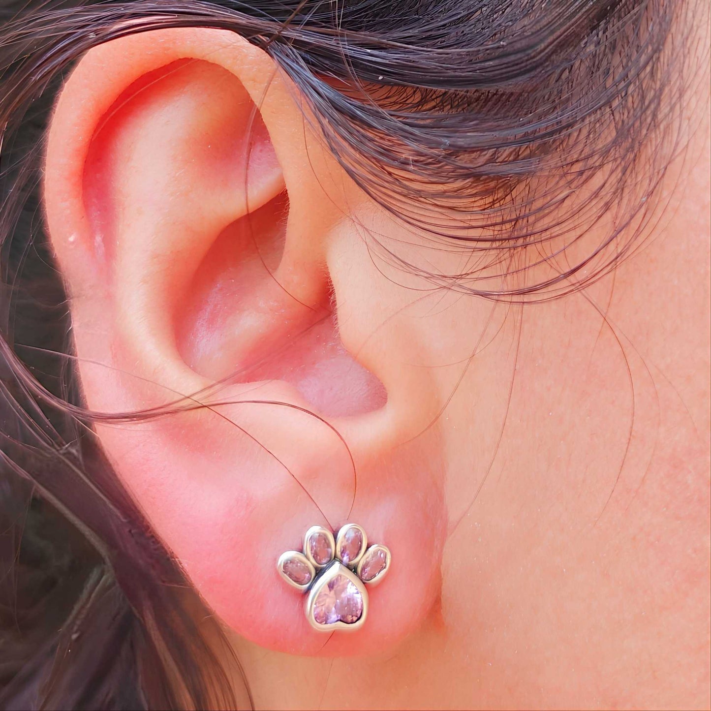 Pendientes Dakota