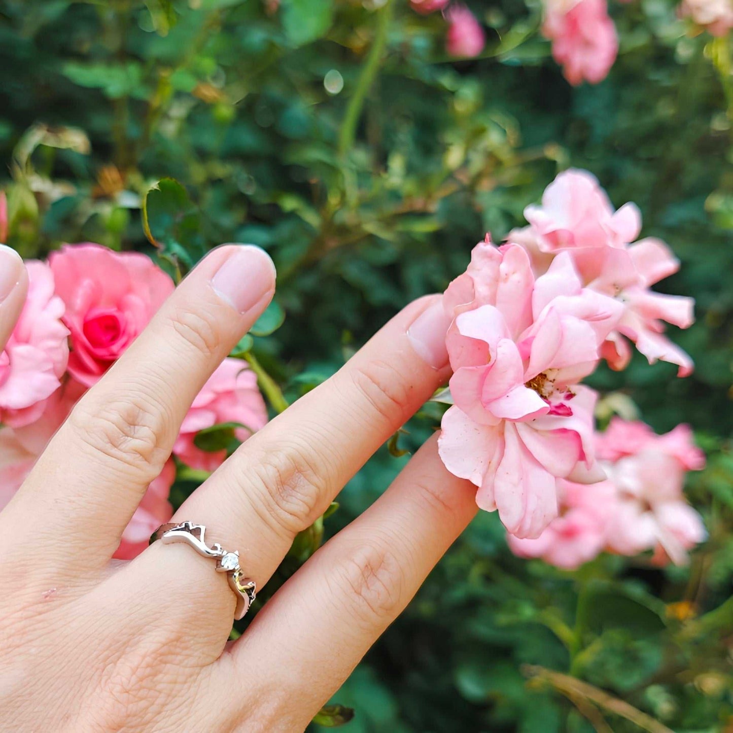 Anillo Ángel
