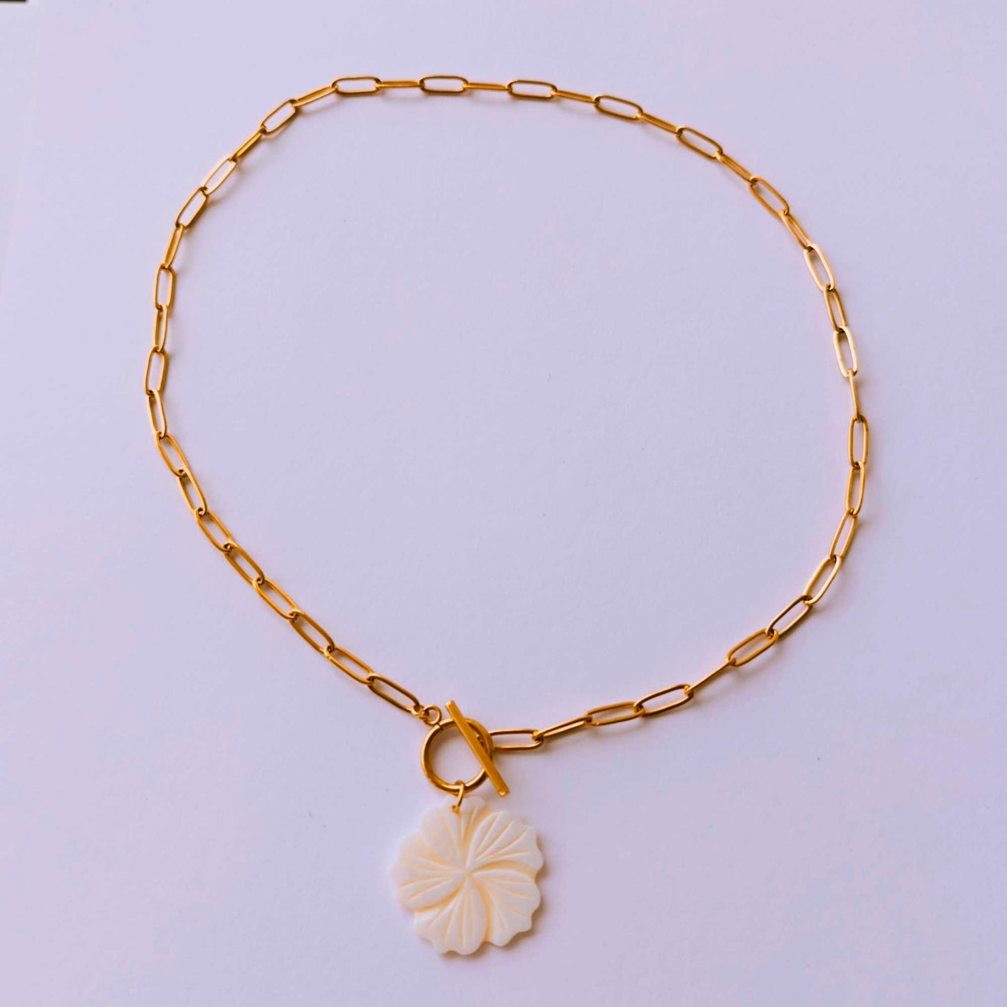 Collar Noe