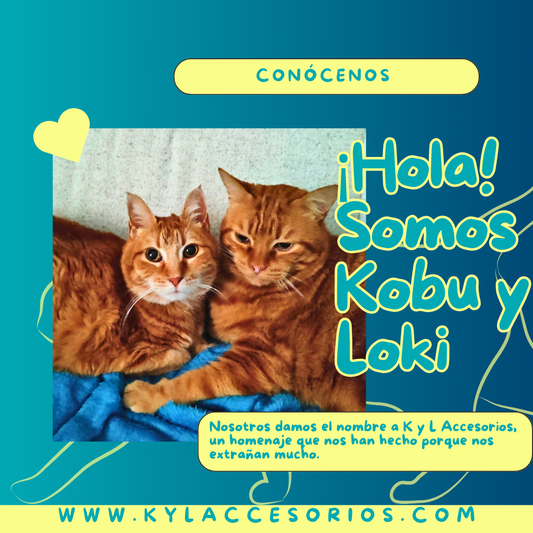 Significado de K y L