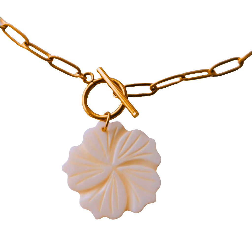 Collar Noe