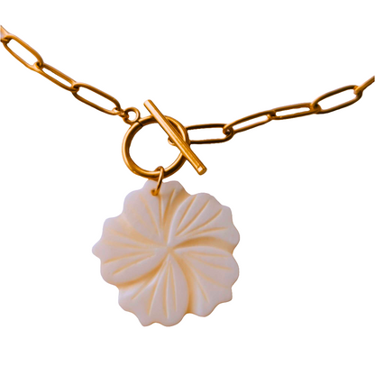 Collar Noe