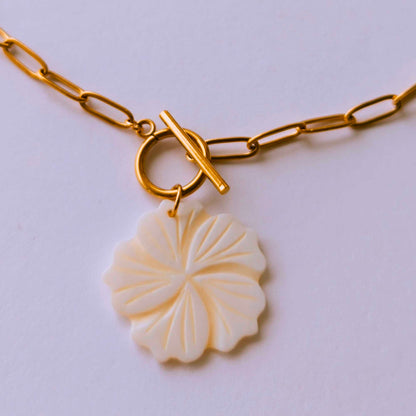 Collar Noe