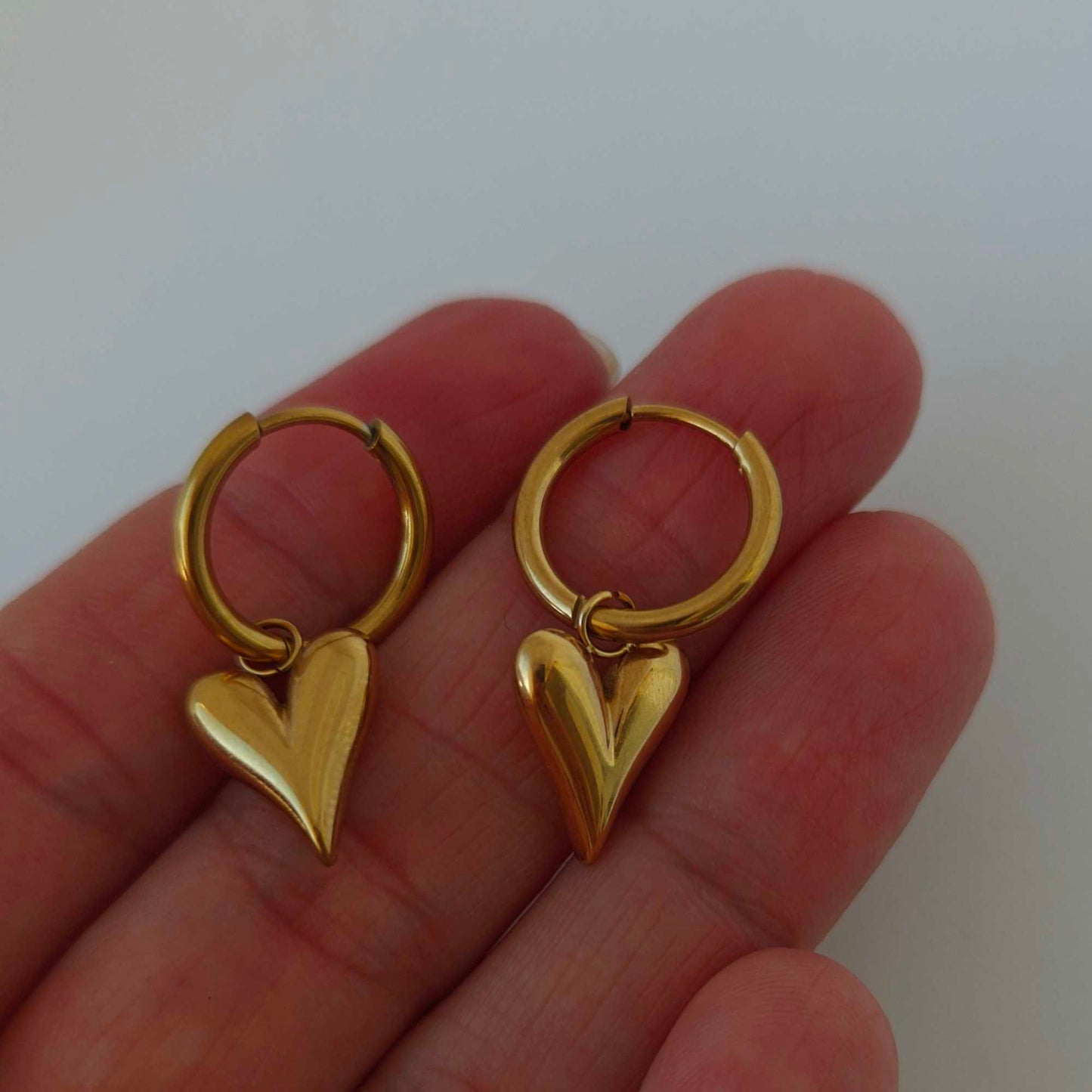 Pendientes Nina