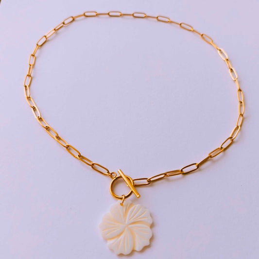Collar Noe