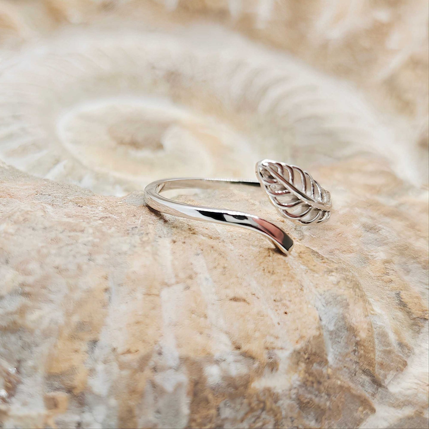 Anillo Nao