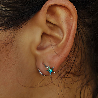 Pendientes Perseidas