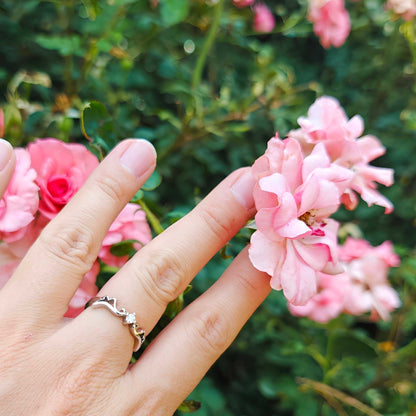 Anillo Ángel