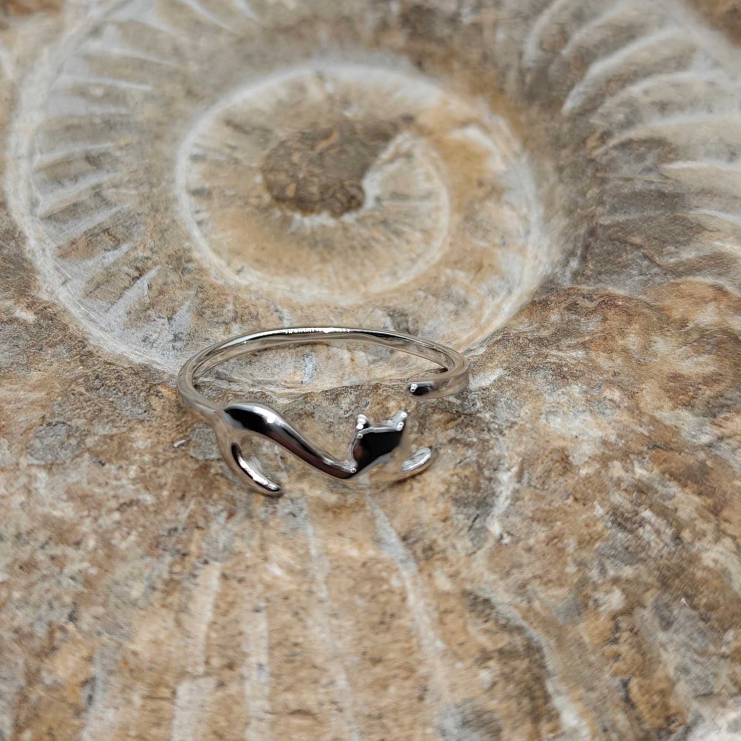 Anillo Pía