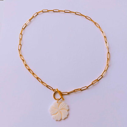 Collar Noe