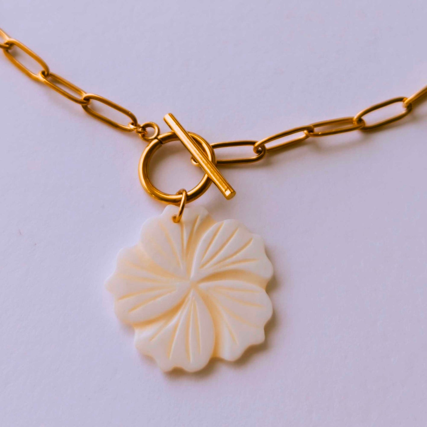 Collar Noe