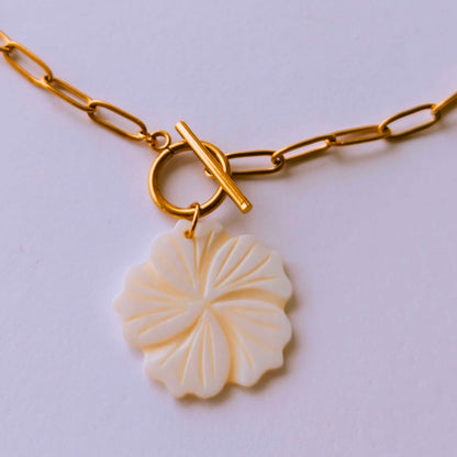 Collar Noe
