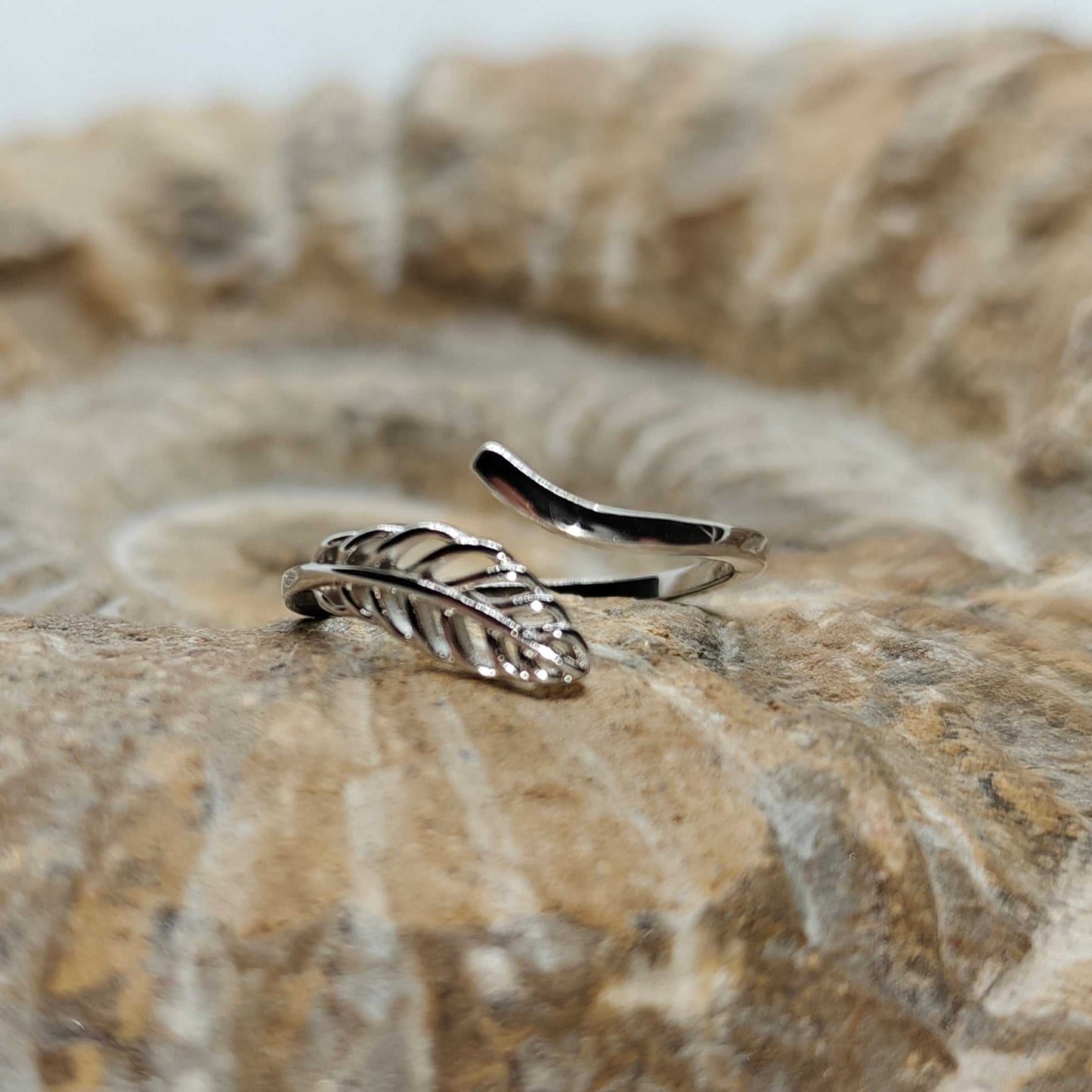 Anillo Nao