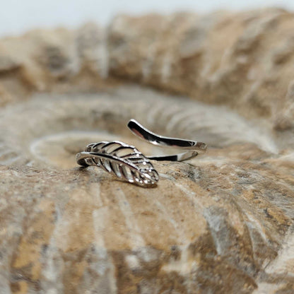Anillo Nao