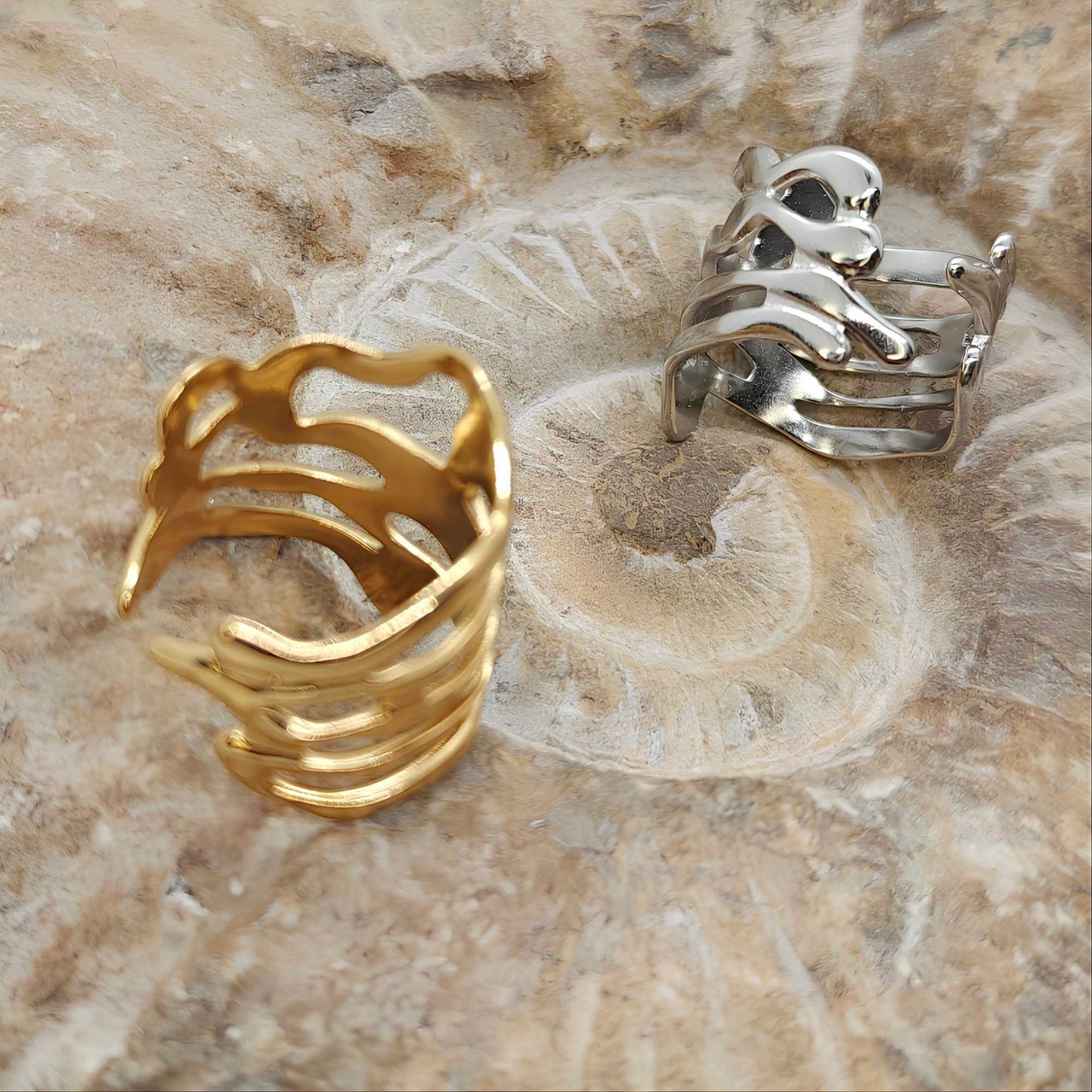 Anillo Fusión