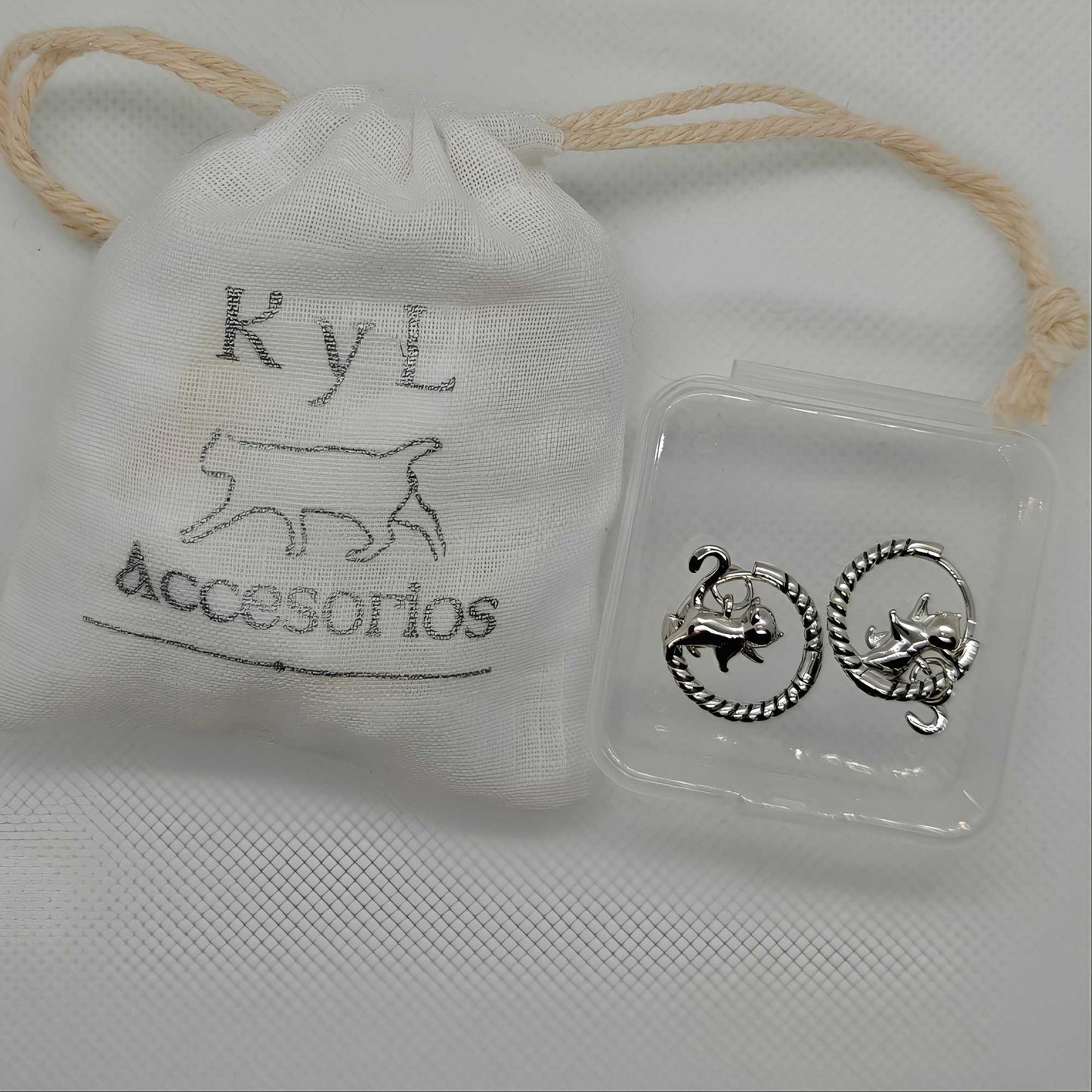 Pendientes Leo-Plata