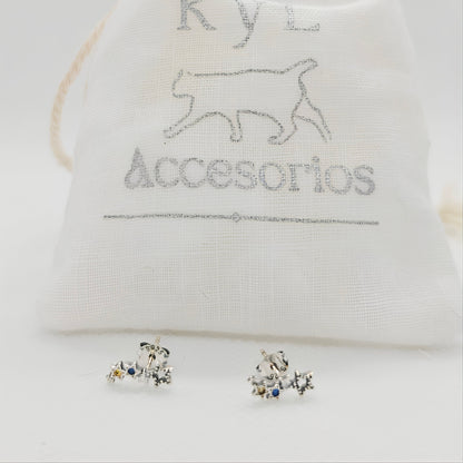 Pendientes Sirius K y L Accesorios