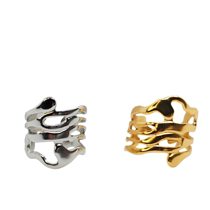 Anillo Fusión