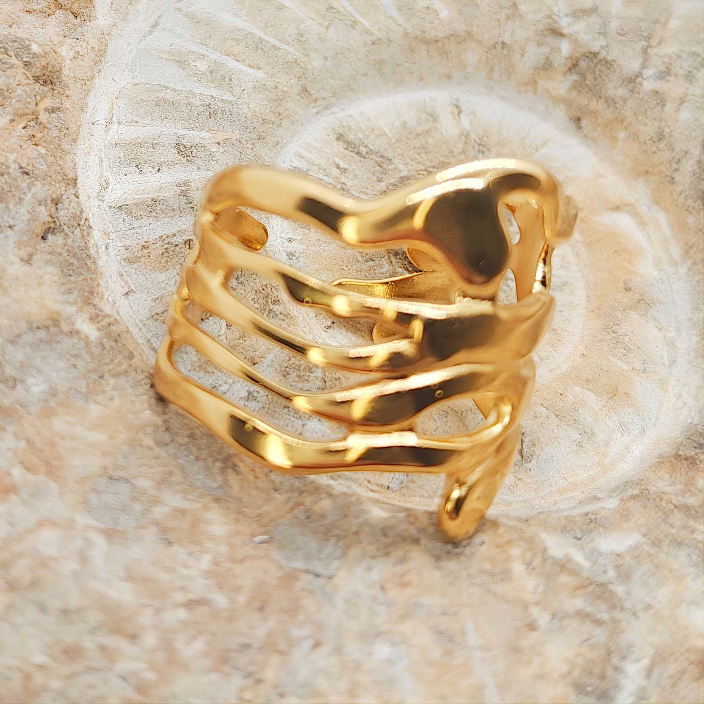 Anillo Fusión