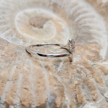 Anillo Nao